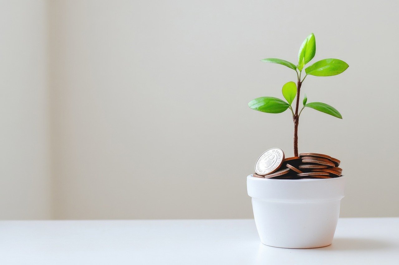 plant-growing plant-growing